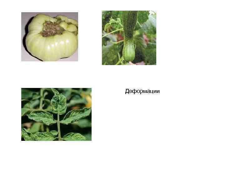 Деформации 