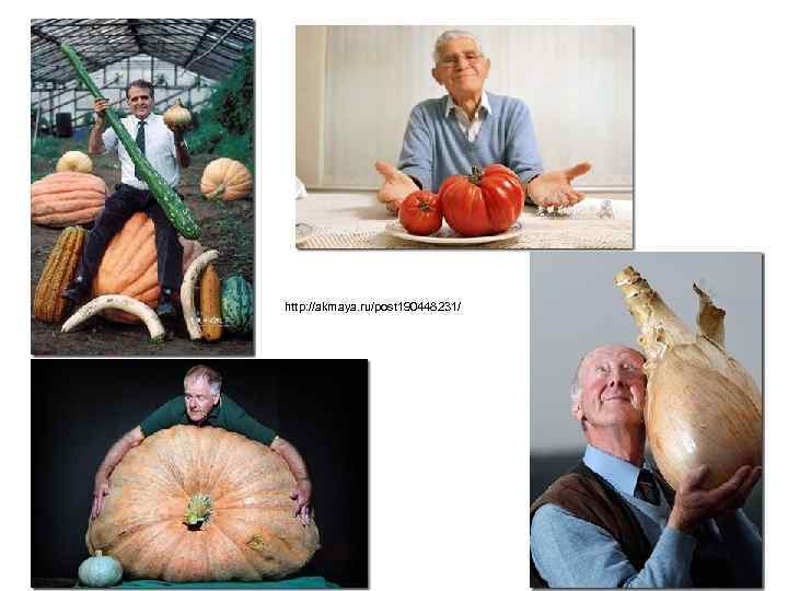 http: //akmaya. ru/post 190448231/ 