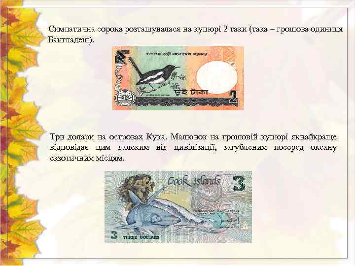 Симпатична сорока розташувалася на купюрі 2 таки (така – грошова одиниця Бангладеш). Три долари