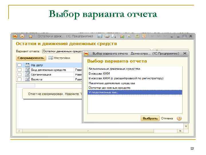 Выбор варианта отчета 23 