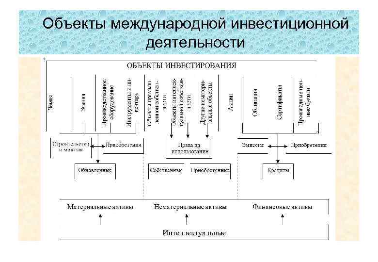 Объекты международной инвестиционной деятельности 