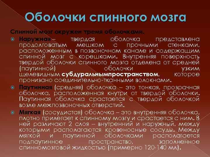 Оболочки спинного мозга Спинной мозг окружен тремя оболочками. Наружная – твердая оболочка представлена продолговатым