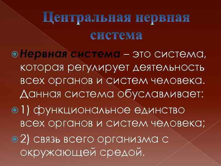  Нервная система – это система, которая регулирует деятельность всех органов и систем человека.