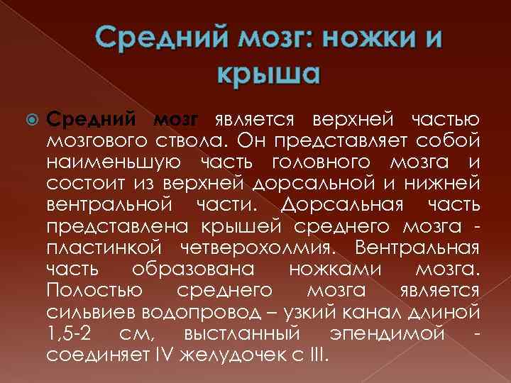 Средний мозг: ножки и крыша Средний мозг является верхней частью мозгового ствола. Он представляет