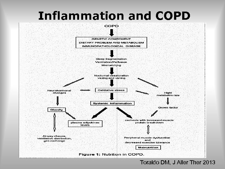 Inflammation and COPD Toraldo DM, J Aller Ther 2013 