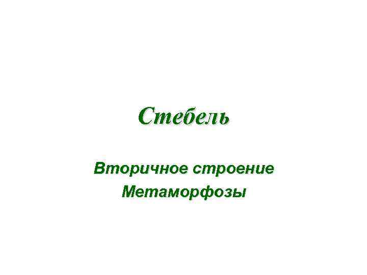 Стебель Вторичное строение Метаморфозы 