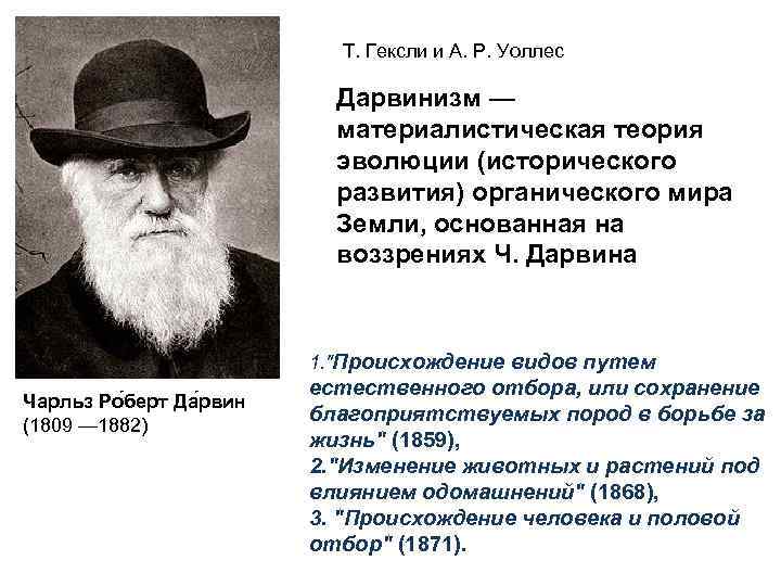 Возникновение и история развития теории эволюции презентация