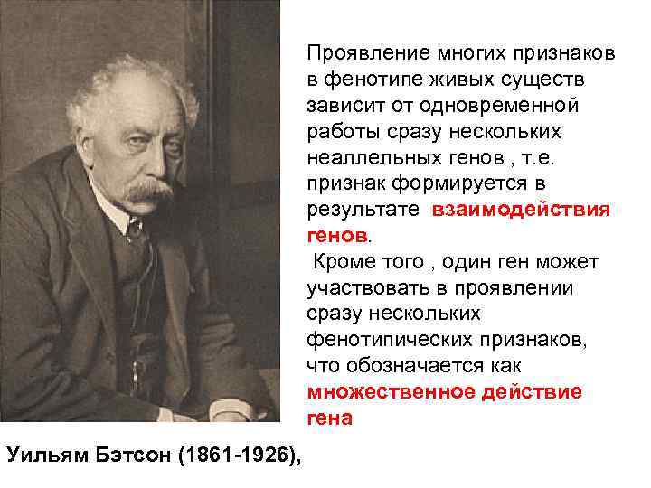 Проявление многих признаков в фенотипе живых существ зависит от одновременной работы сразу нескольких неаллельных