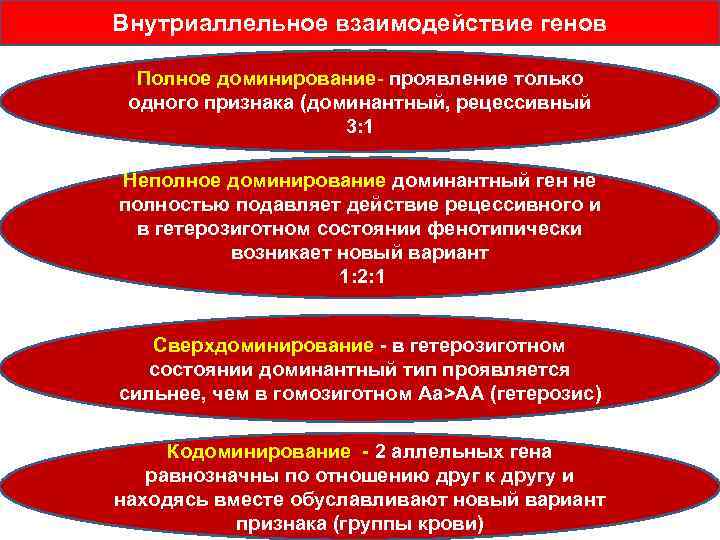 Внутриаллельное взаимодействие генов Полное доминирование- проявление только одного признака (доминантный, рецессивный 3: 1 Неполное