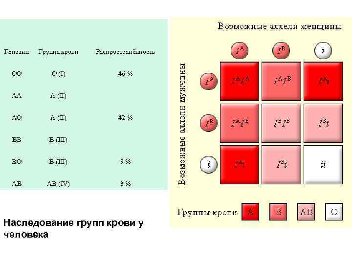Резус матери 4. Наследование группы крови от родителей таблица. Группы крови 2 + 4 группа. Резус факторы крови у человека таблица. Таблица наследования групп крови с генотипами.