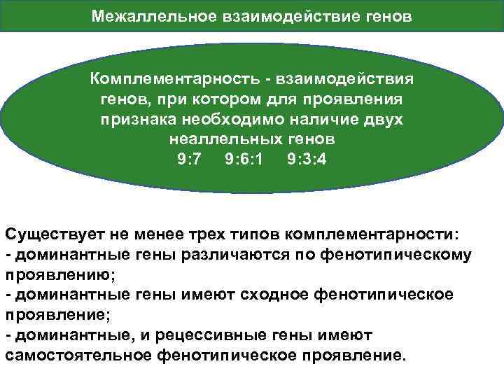 Межаллельное взаимодействие генов Комплементарность - взаимодействия генов, при котором для проявления признака необходимо наличие