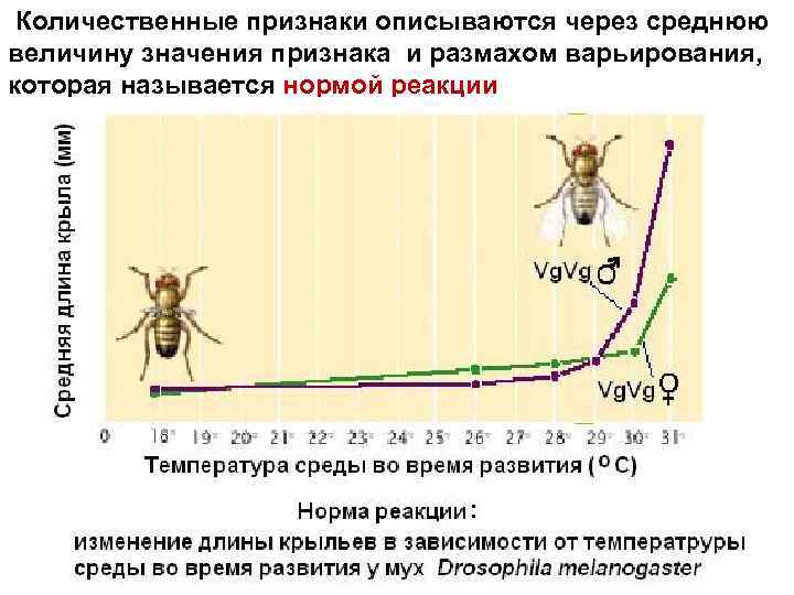  Количественные признаки описываются через среднюю величину значения признака и размахом варьирования, которая называется