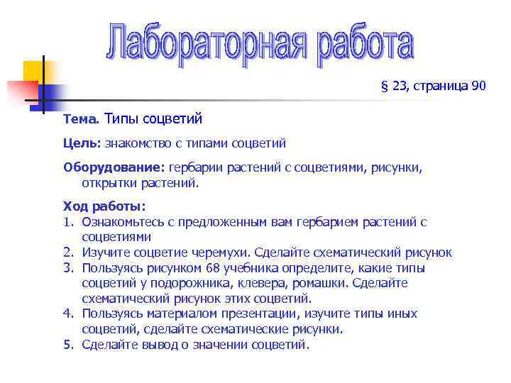 Лабораторная работа по теме соцветия рассмотрите картинки и заполните таблицу