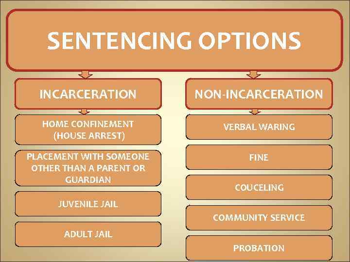 SENTENCING OPTIONS INCARCERATION NON-INCARCERATION HOME CONFINEMENT (HOUSE ARREST) VERBAL WARING PLACEMENT WITH SOMEONE OTHER