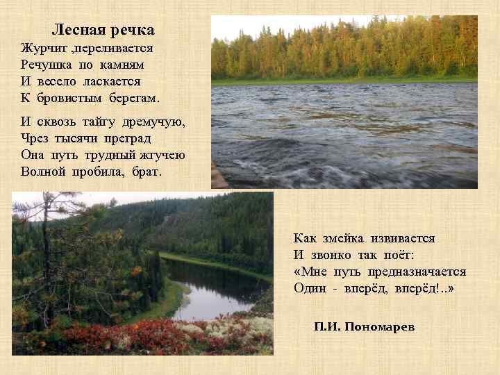 Лесная речка Журчит , переливается Речушка по камням И весело ласкается К бровистым берегам.