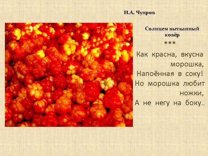 Н. А. Чупров Солнцем вытканный ковёр *** Как красна, вкусна морошка, Напоённая в соку!