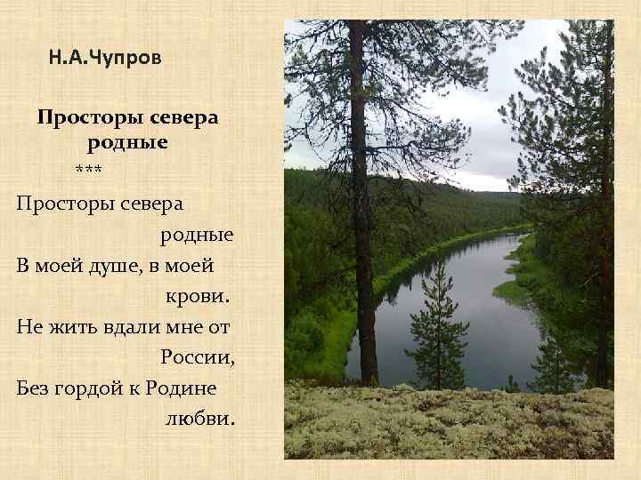 Н. А. Чупров Просторы севера родные *** Просторы севера родные В моей душе, в