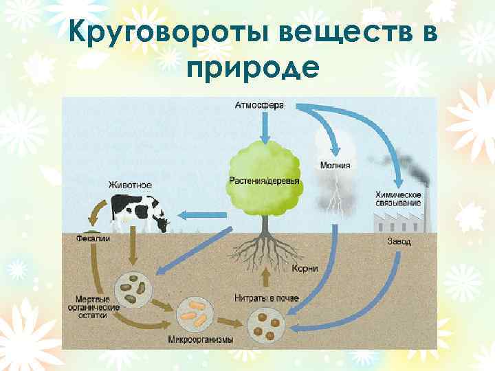 Круговорот веществ воды схема