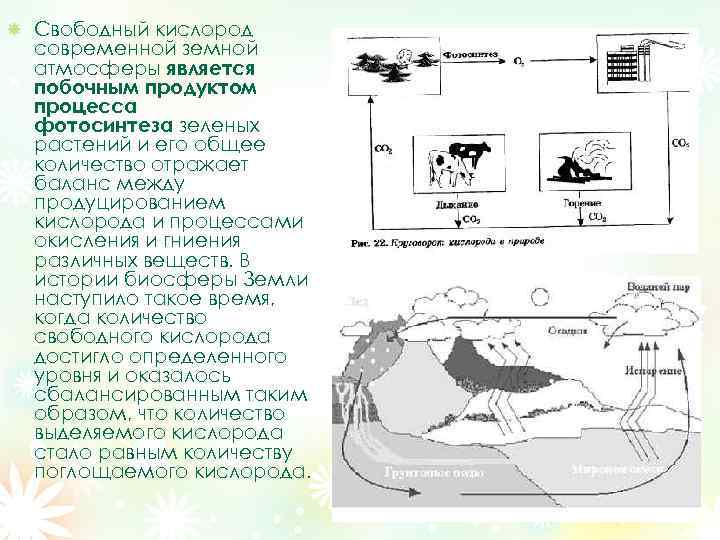 Свободный кислород современной земной атмосферы является побочным продуктом процесса фотосинтеза зеленых растений и его
