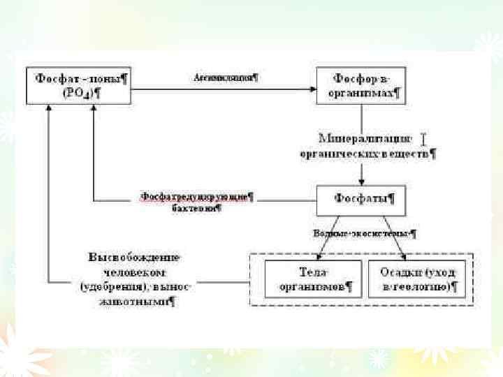 Круговорот кремния в природе схема