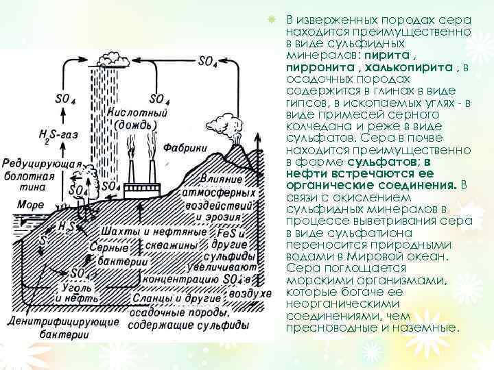В изверженных породах сера находится преимущественно в виде сульфидных минералов: пирита , пирронита ,