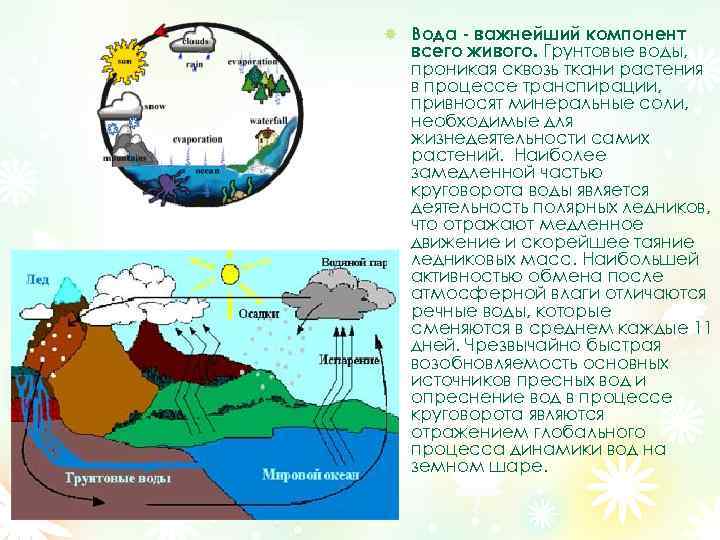 Составьте схему круговорота воды в природе какое значение в природе имеет вода