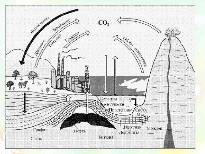 Круговорот co2 в природе схема