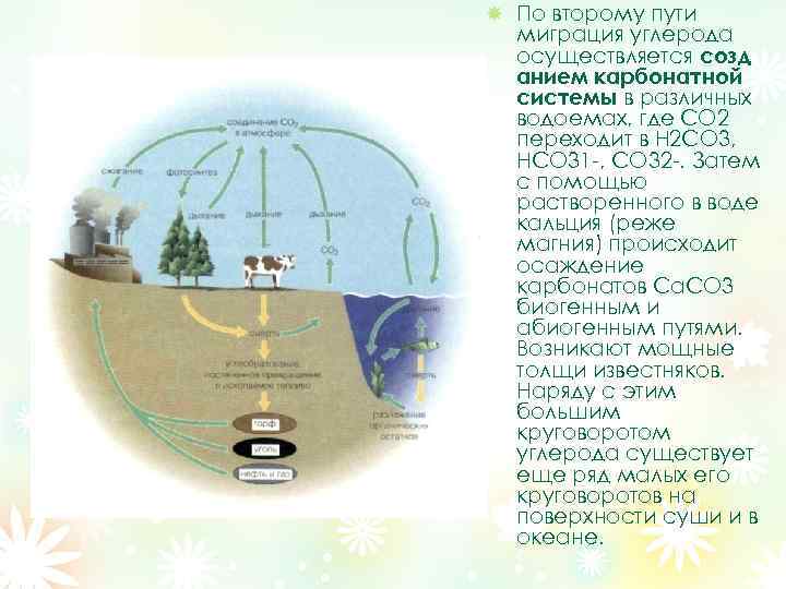 Круговорот магния в природе схема