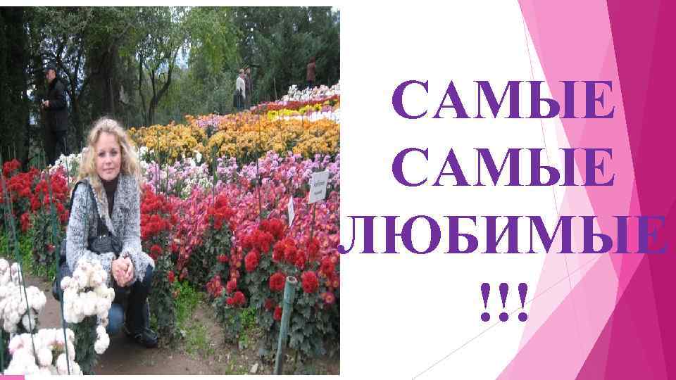 САМЫЕ ЛЮБИМЫЕ !!! 