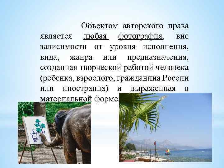 Объектом авторского права является любая фотография, вне зависимости от уровня исполнения, вида, жанра или