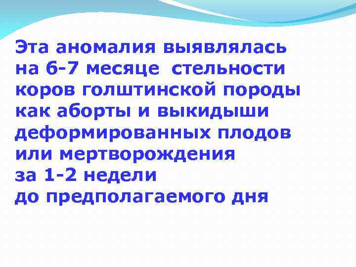 Эта аномалия выявлялась на 6 -7 месяце стельности коров голштинской породы как аборты и