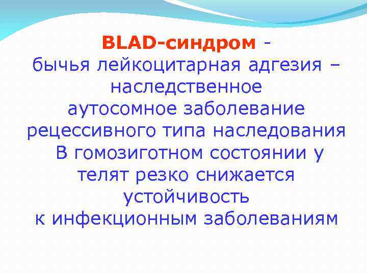 BLAD-синдром бычья лейкоцитарная адгезия – наследственное аутосомное заболевание рецессивного типа наследования В гомозиготном состоянии