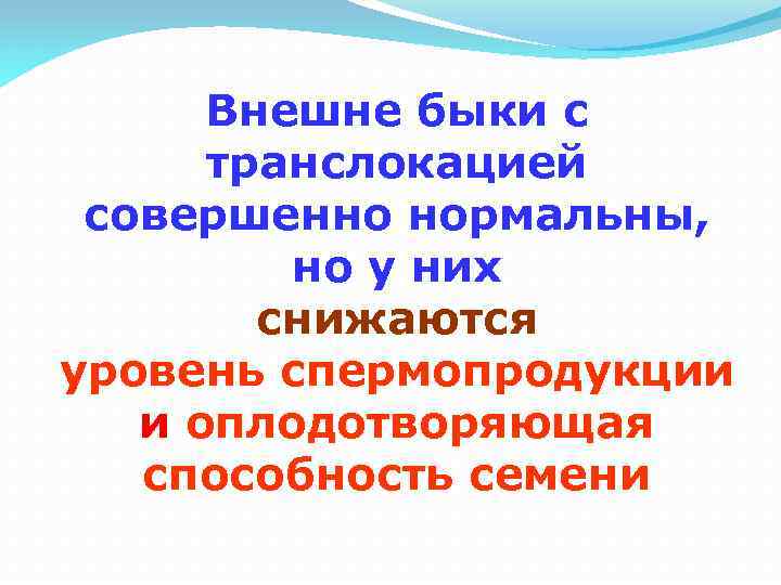 Внешне быки с транслокацией совершенно нормальны, но у них снижаются уровень спермопродукции и оплодотворяющая