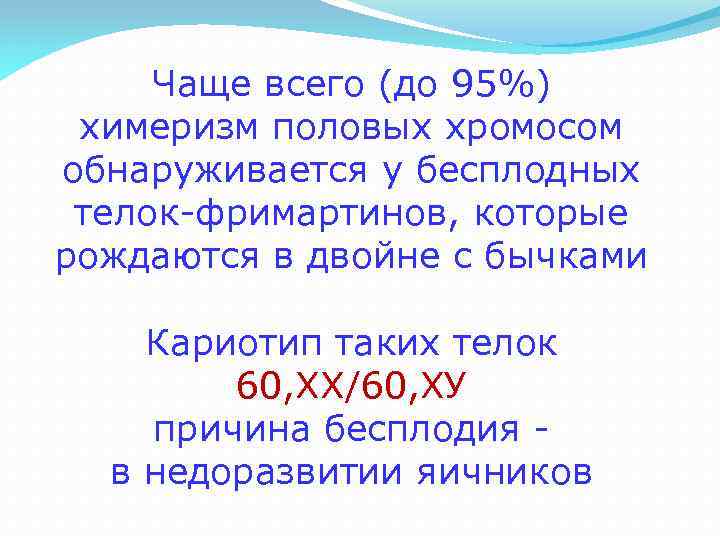 Чаще всего (до 95%) химеризм половых хромосом обнаруживается у бесплодных телок-фримартинов, которые рождаются в