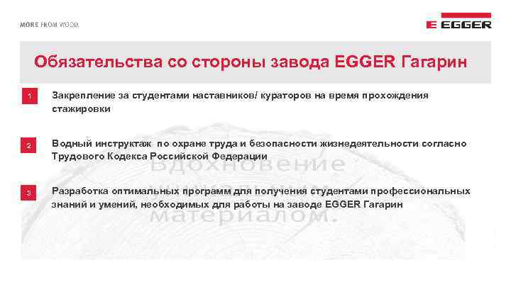 Обязательства со стороны завода EGGER Гагарин 1 2 3 Закрепление за студентами наставников/ кураторов