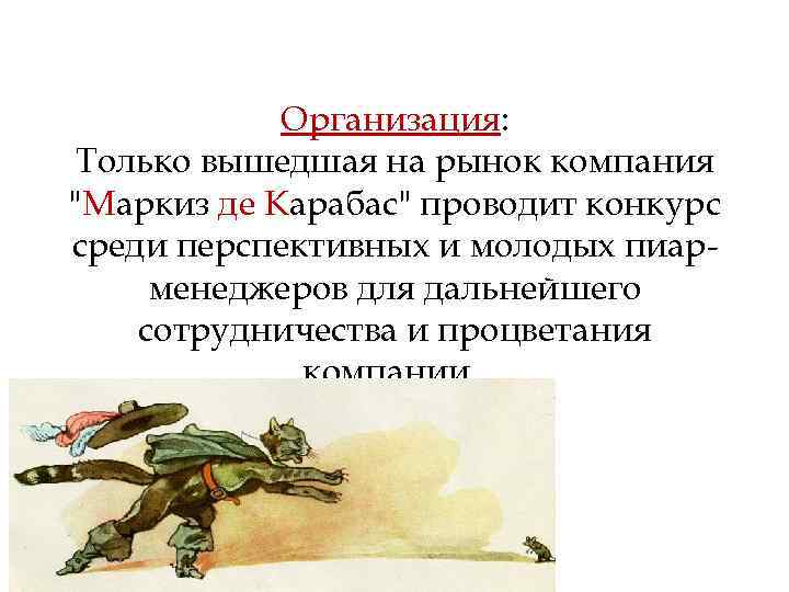 Организация: Только вышедшая на рынок компания 