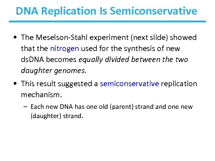 DNA Replication Is Semiconservative • The Meselson-Stahl experiment (next slide) showed that the nitrogen