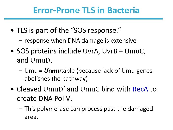 Error-Prone TLS in Bacteria • TLS is part of the “SOS response. ” –