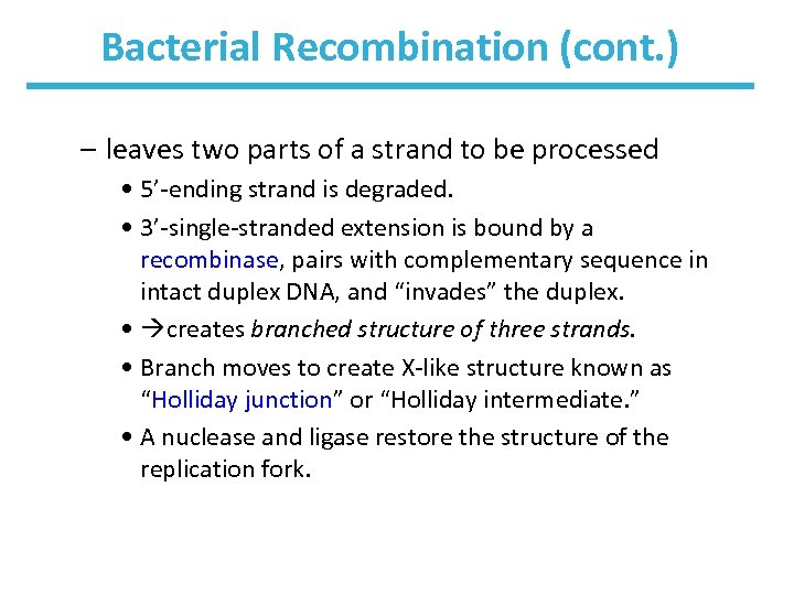 Bacterial Recombination (cont. ) – leaves two parts of a strand to be processed