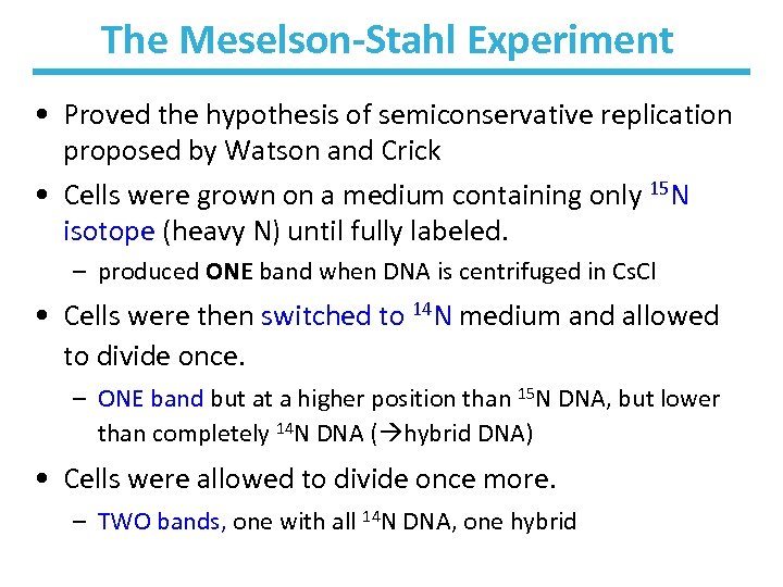 The Meselson-Stahl Experiment • Proved the hypothesis of semiconservative replication proposed by Watson and