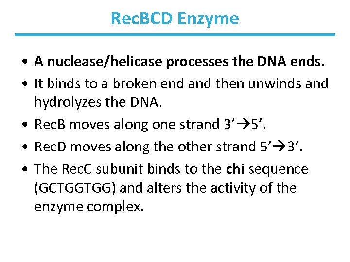 Rec. BCD Enzyme • A nuclease/helicase processes the DNA ends. • It binds to