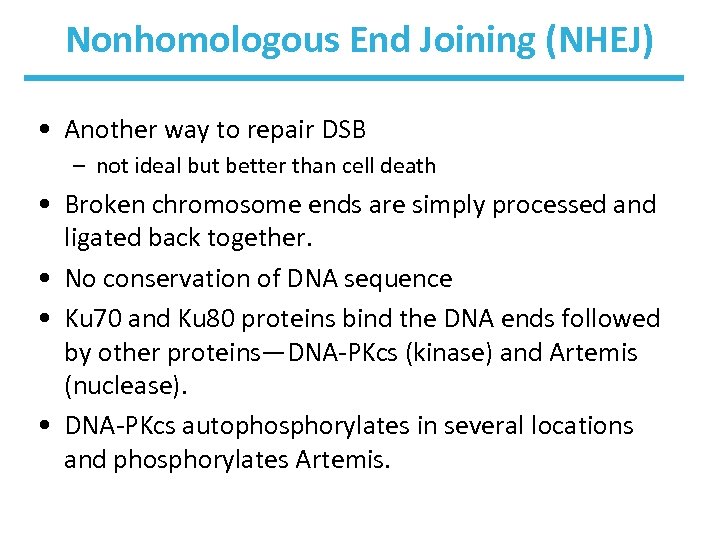 Nonhomologous End Joining (NHEJ) • Another way to repair DSB – not ideal but