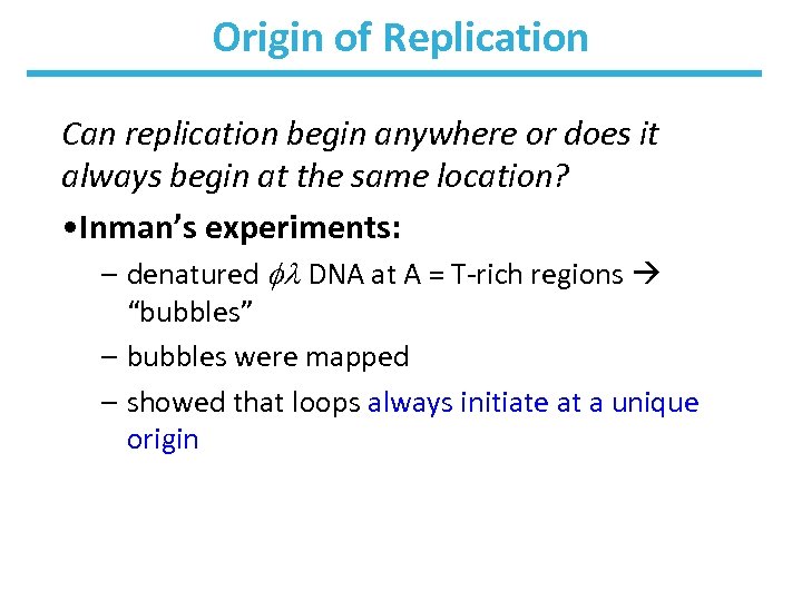 Origin of Replication Can replication begin anywhere or does it always begin at the