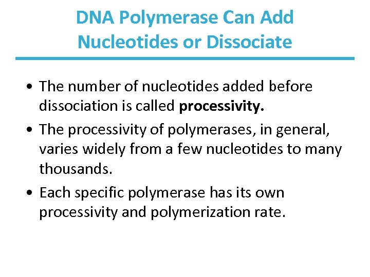 DNA Polymerase Can Add Nucleotides or Dissociate • The number of nucleotides added before