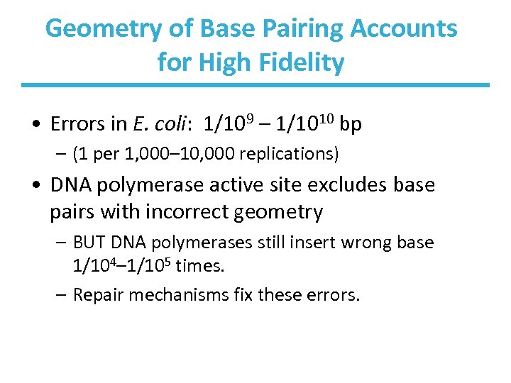 Geometry of Base Pairing Accounts for High Fidelity • Errors in E. coli: 1/109