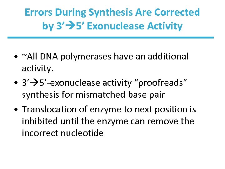 Errors During Synthesis Are Corrected by 3’ 5’ Exonuclease Activity • ~All DNA polymerases