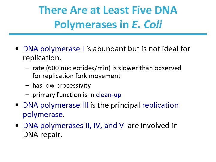 There Are at Least Five DNA Polymerases in E. Coli • DNA polymerase I