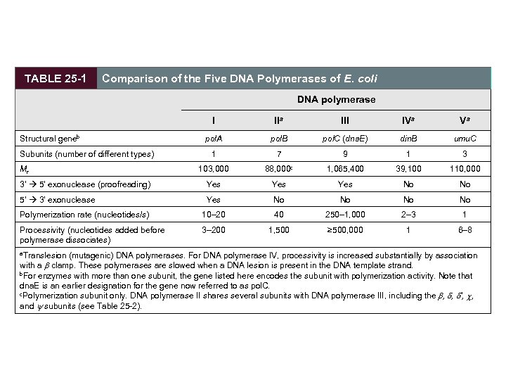 TABLE 25 -1 Comparison of the Five DNA Polymerases of E. coli DNA polymerase