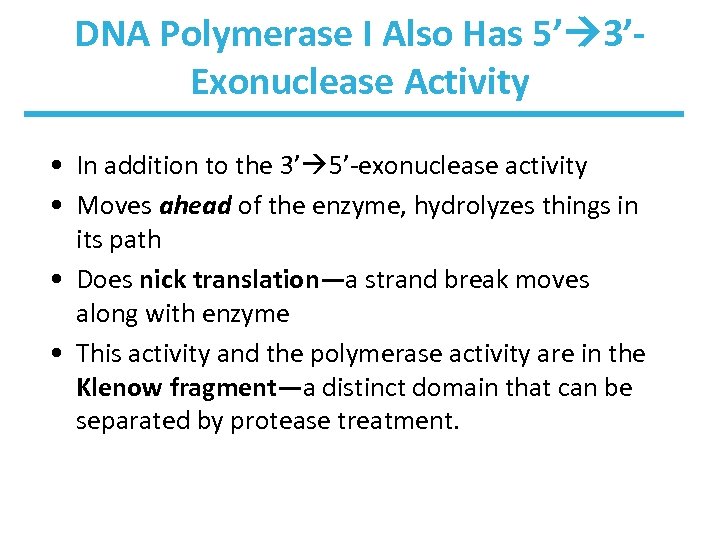 DNA Polymerase I Also Has 5’ 3’Exonuclease Activity • In addition to the 3’