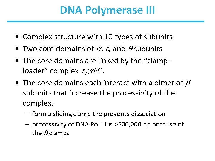 DNA Polymerase III • Complex structure with 10 types of subunits • Two core